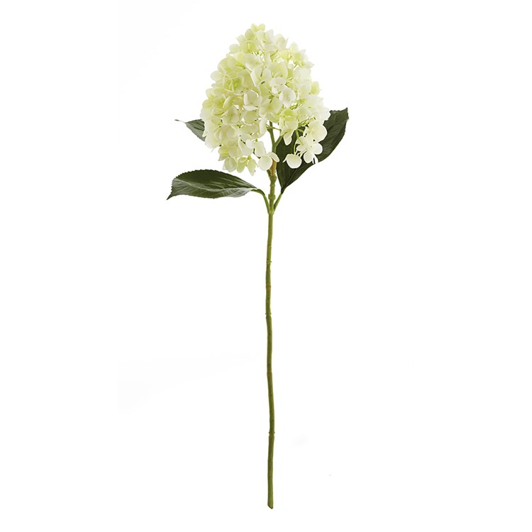 CONE HYDRANGEA STEM 28